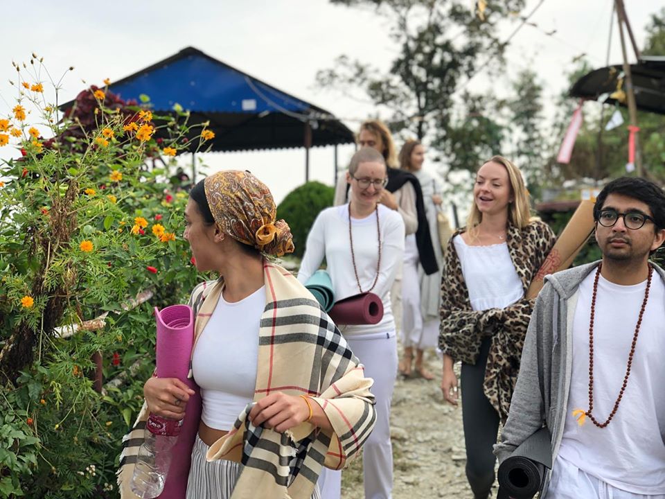 A group of yogis waling in nature with their yoga mat