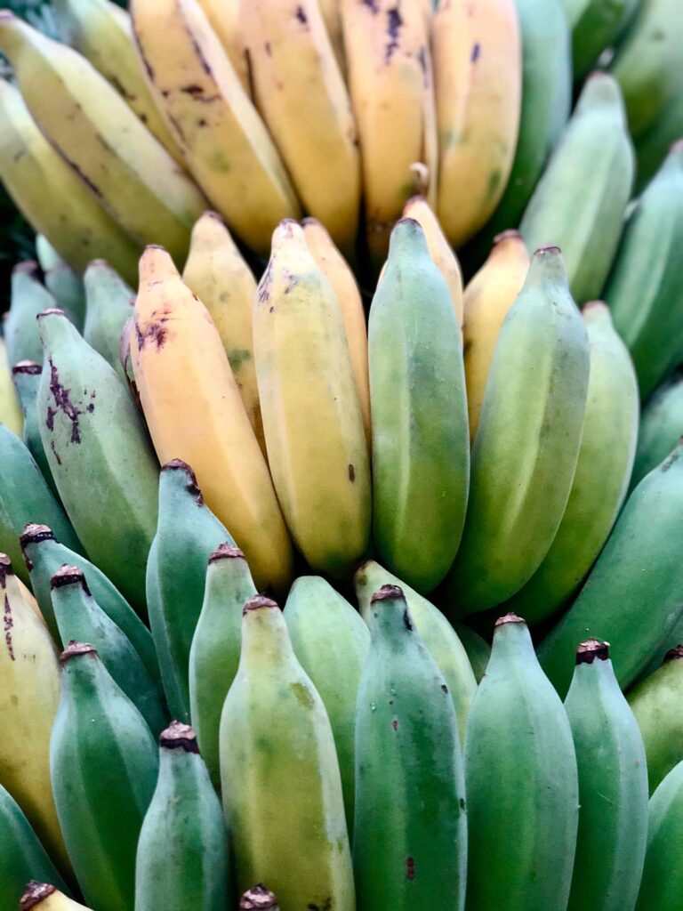 organic Bananas at vedic yoga academy