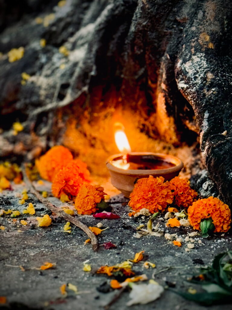lighting Puja lemp under a tree
