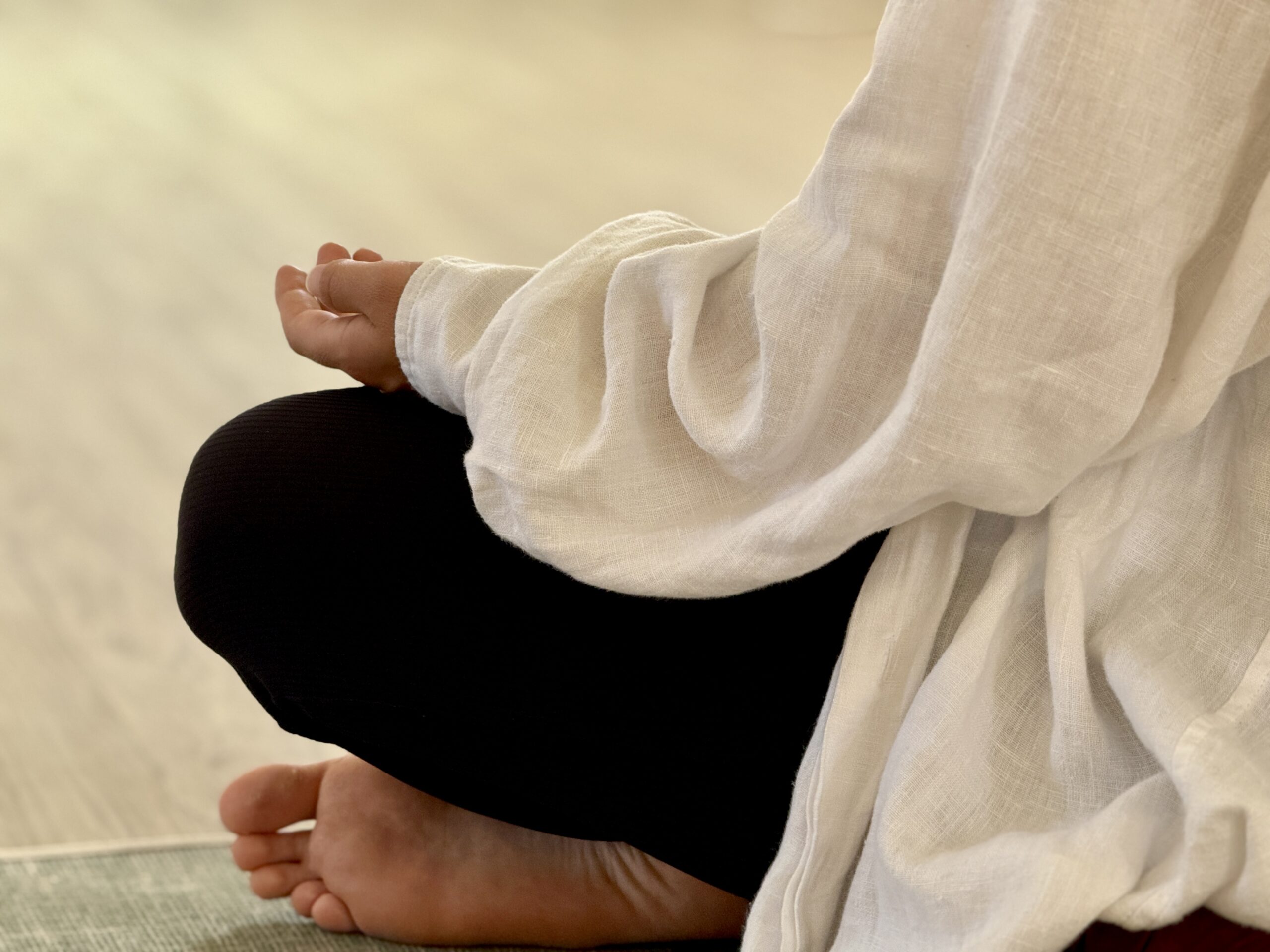 https://vedicyogaacademy.com/wp-content/uploads/2025/10/vipassana-meditation-journey-scaled.jpg